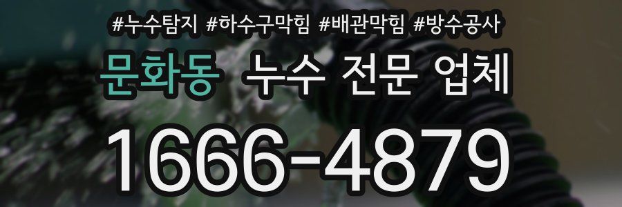 문화동 누수 전문 업체