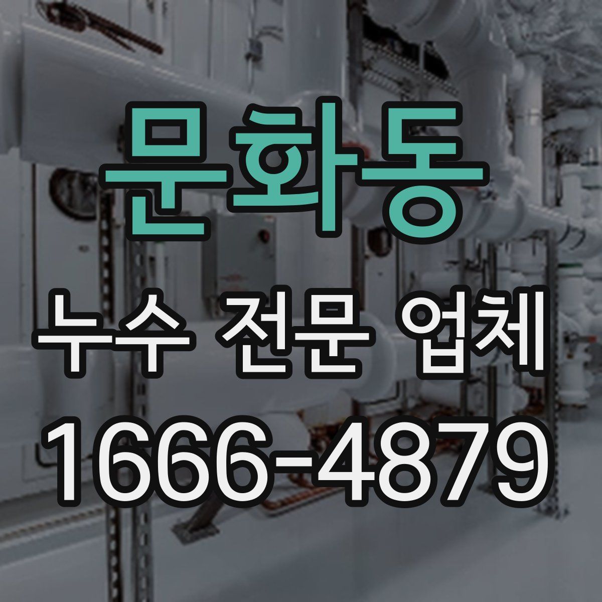 문화동 누수 전문 업체