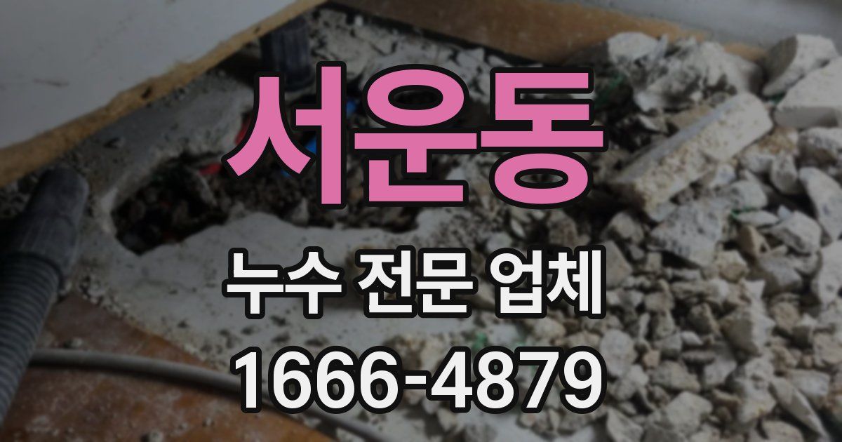 서운동 누수 전문 업체