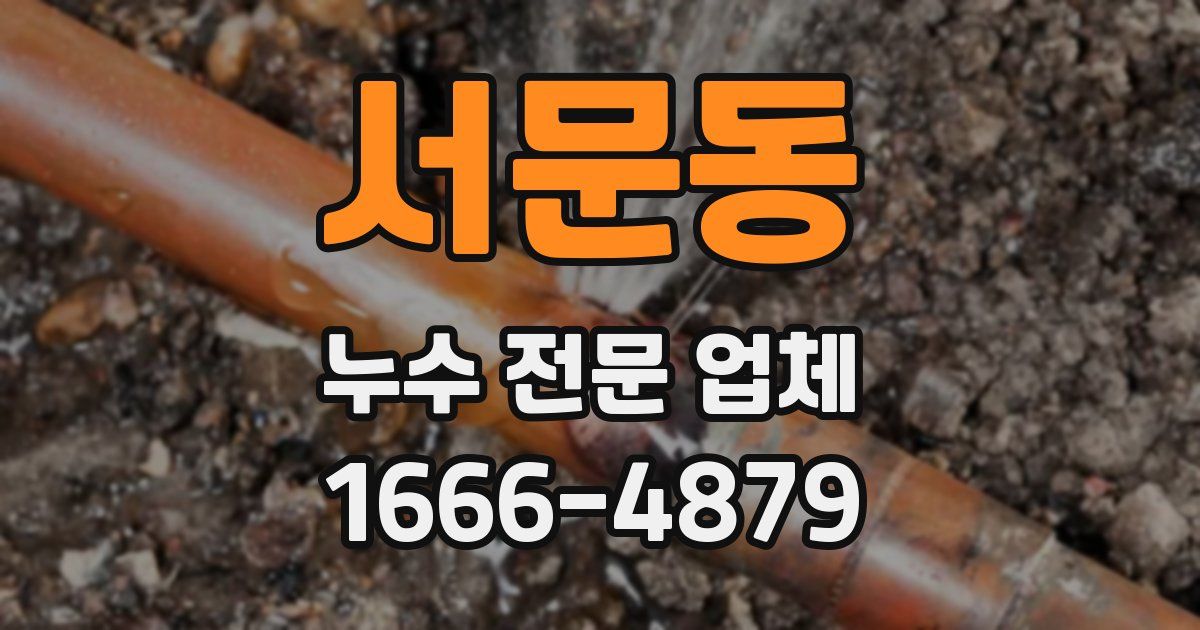서문동 누수 전문 업체