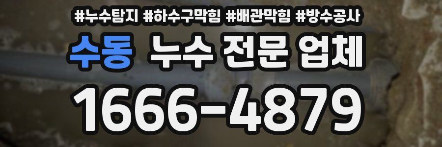 수동 누수 전문 업체