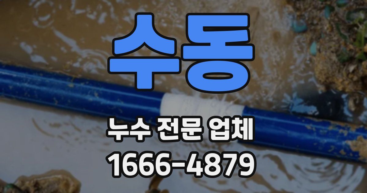 수동 누수 전문 업체