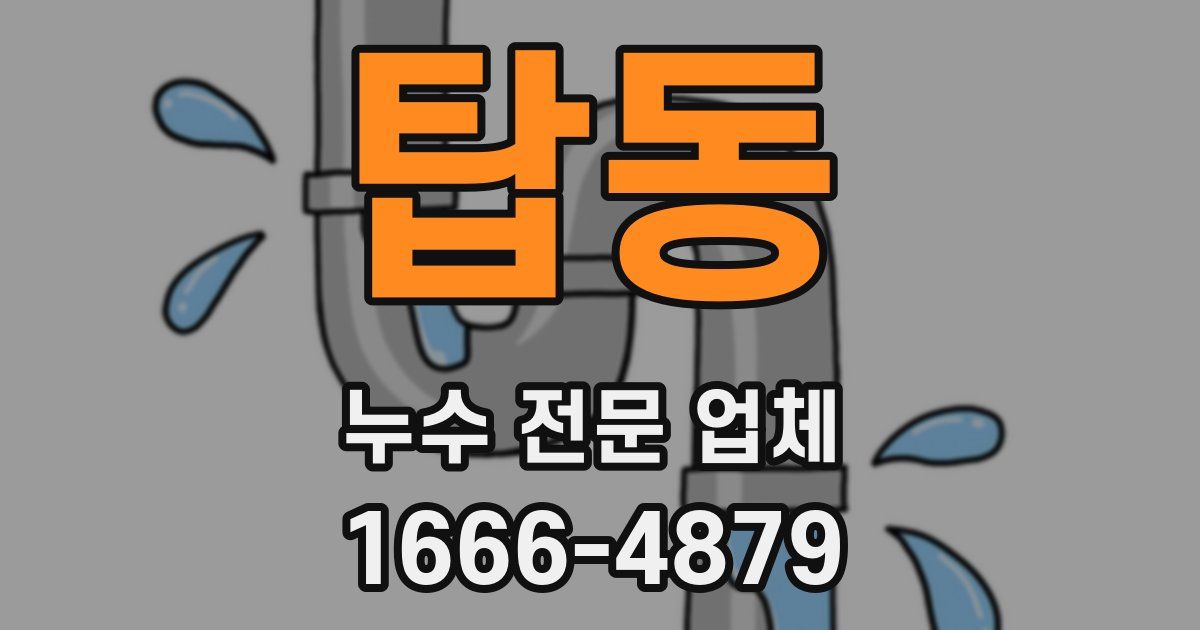 탑동 누수 전문 업체