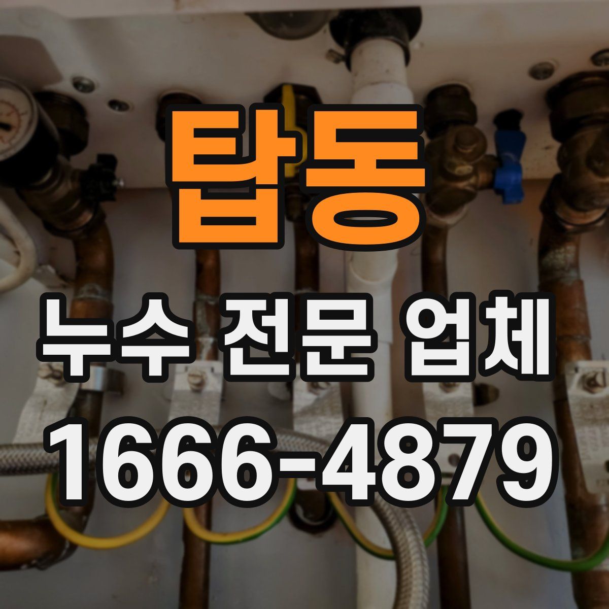 탑동 누수 전문 업체