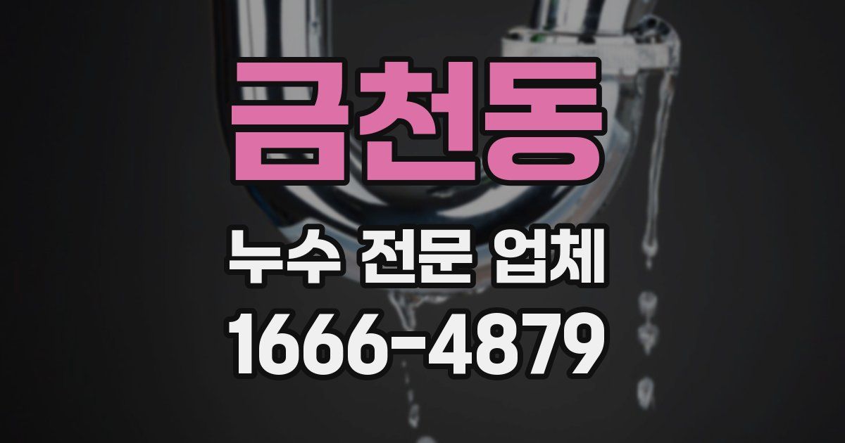 금천동 누수 전문 업체