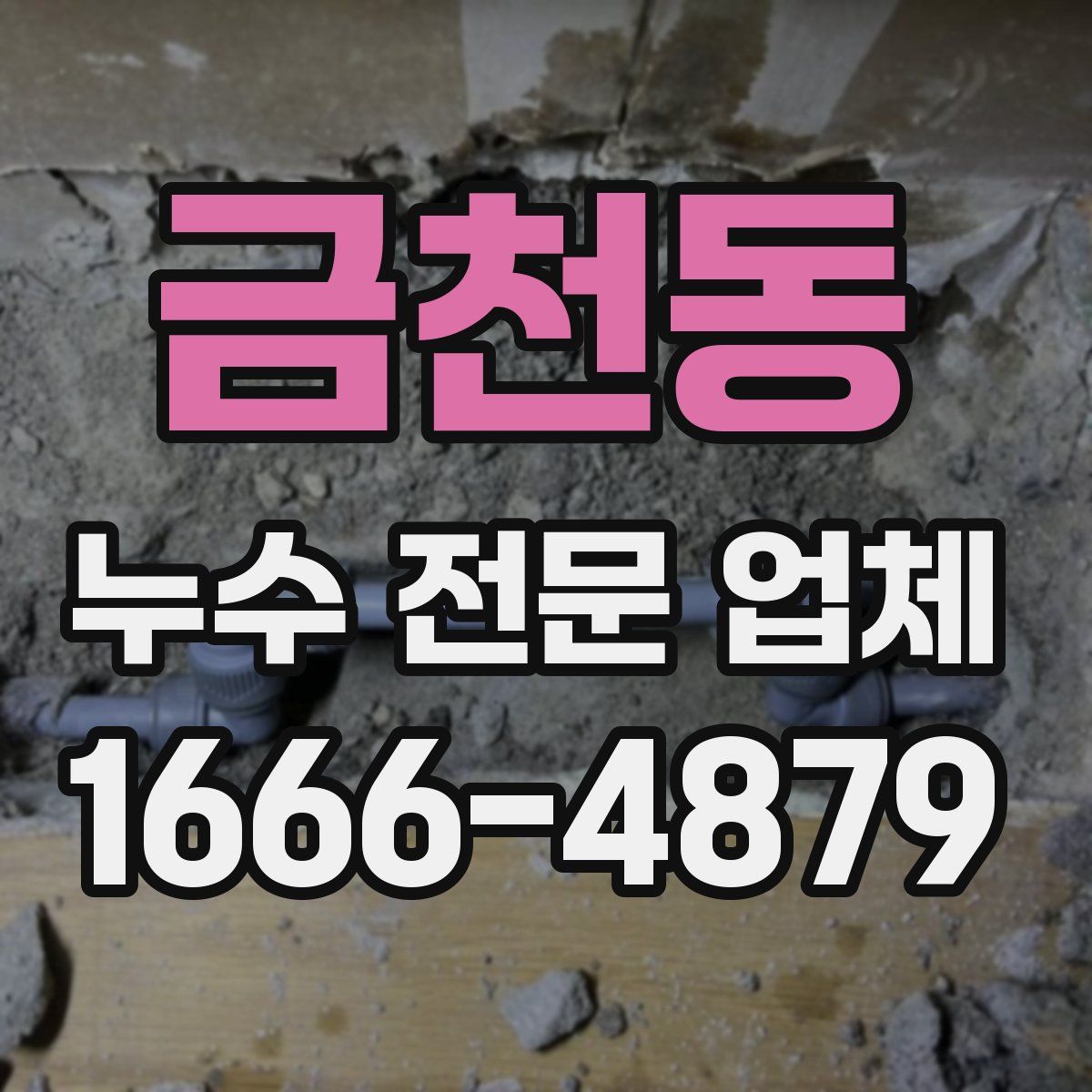 금천동 누수 전문 업체