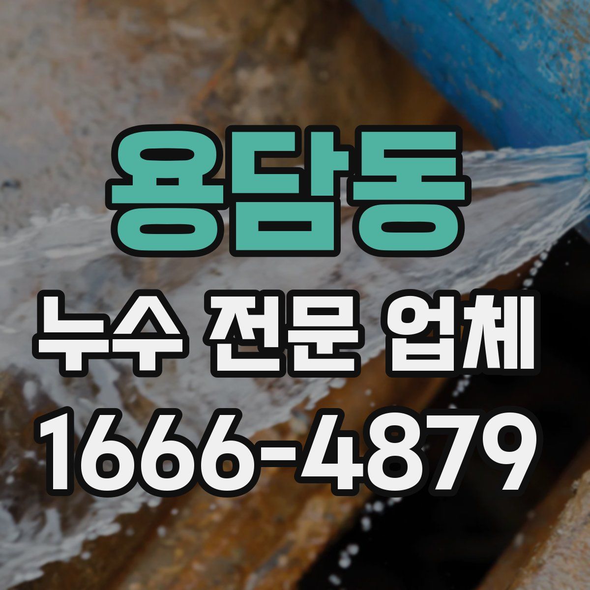 용담동 누수 전문 업체