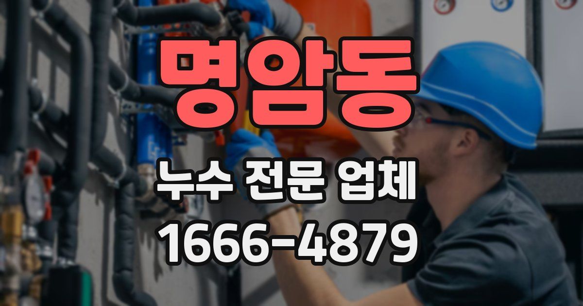명암동 누수 전문 업체