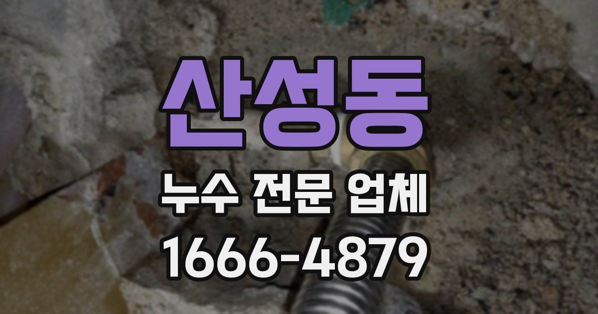 산성동 누수 전문 업체