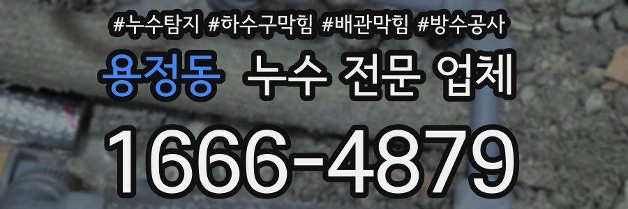 용정동 누수 전문 업체