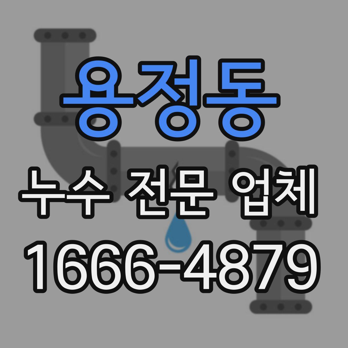 용정동 누수 전문 업체