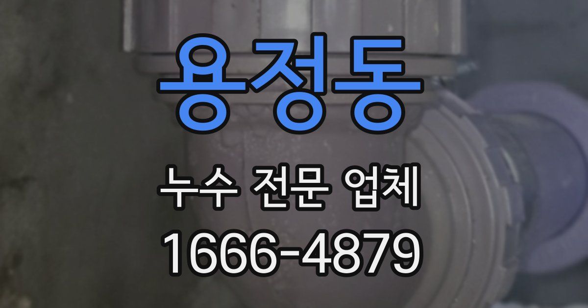 용정동 누수 전문 업체