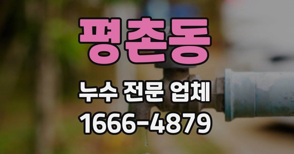 평촌동 누수 전문 업체