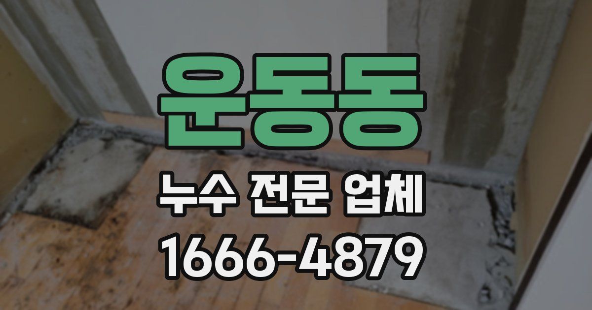 운동동 누수 전문 업체