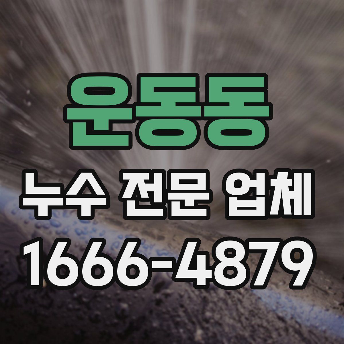 운동동 누수 전문 업체