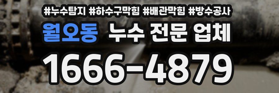 월오동 누수 전문 업체