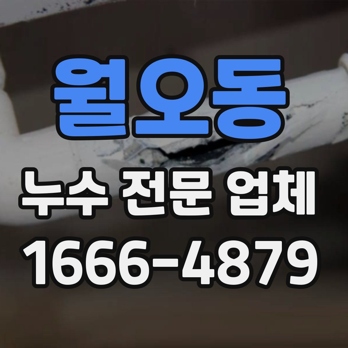 월오동 누수 전문 업체