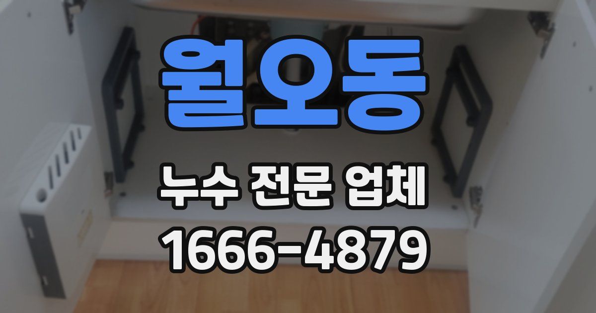 월오동 누수 전문 업체