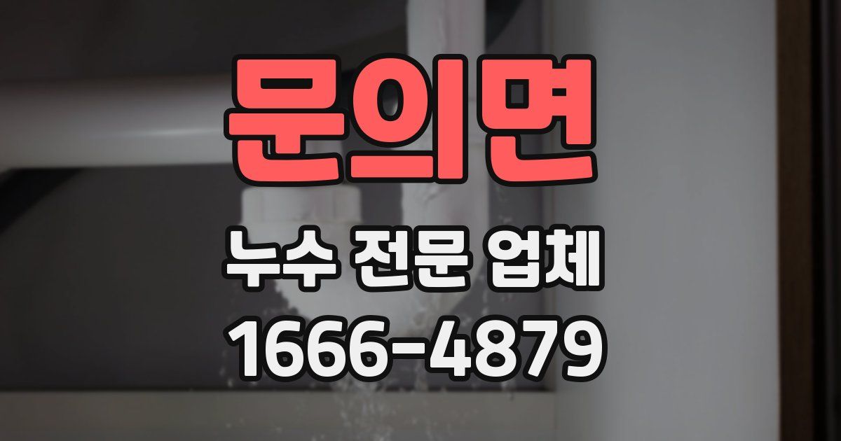 문의면 누수 전문 업체