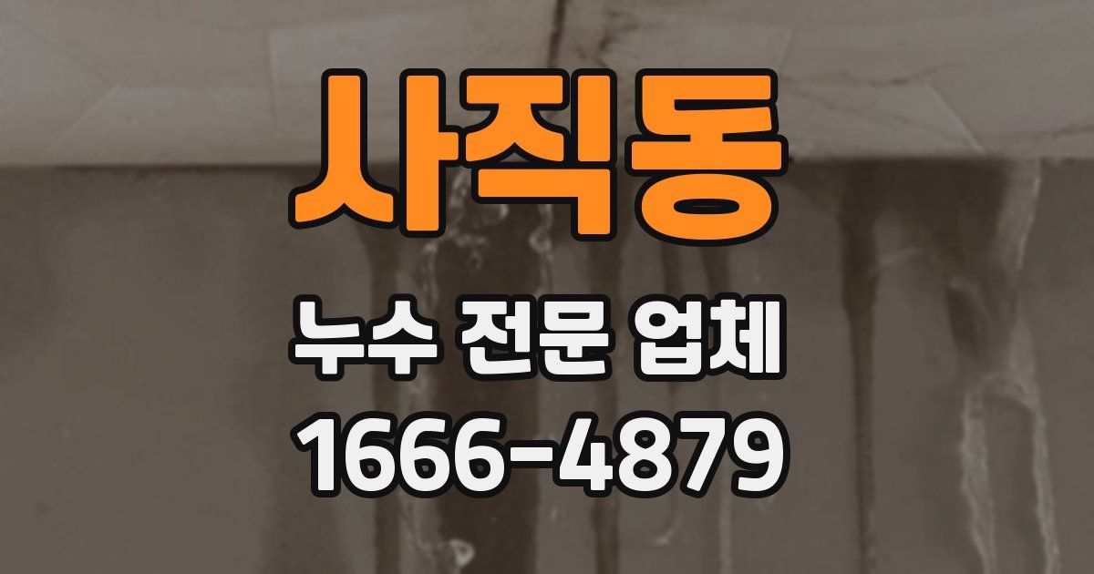 사직동 누수 전문 업체