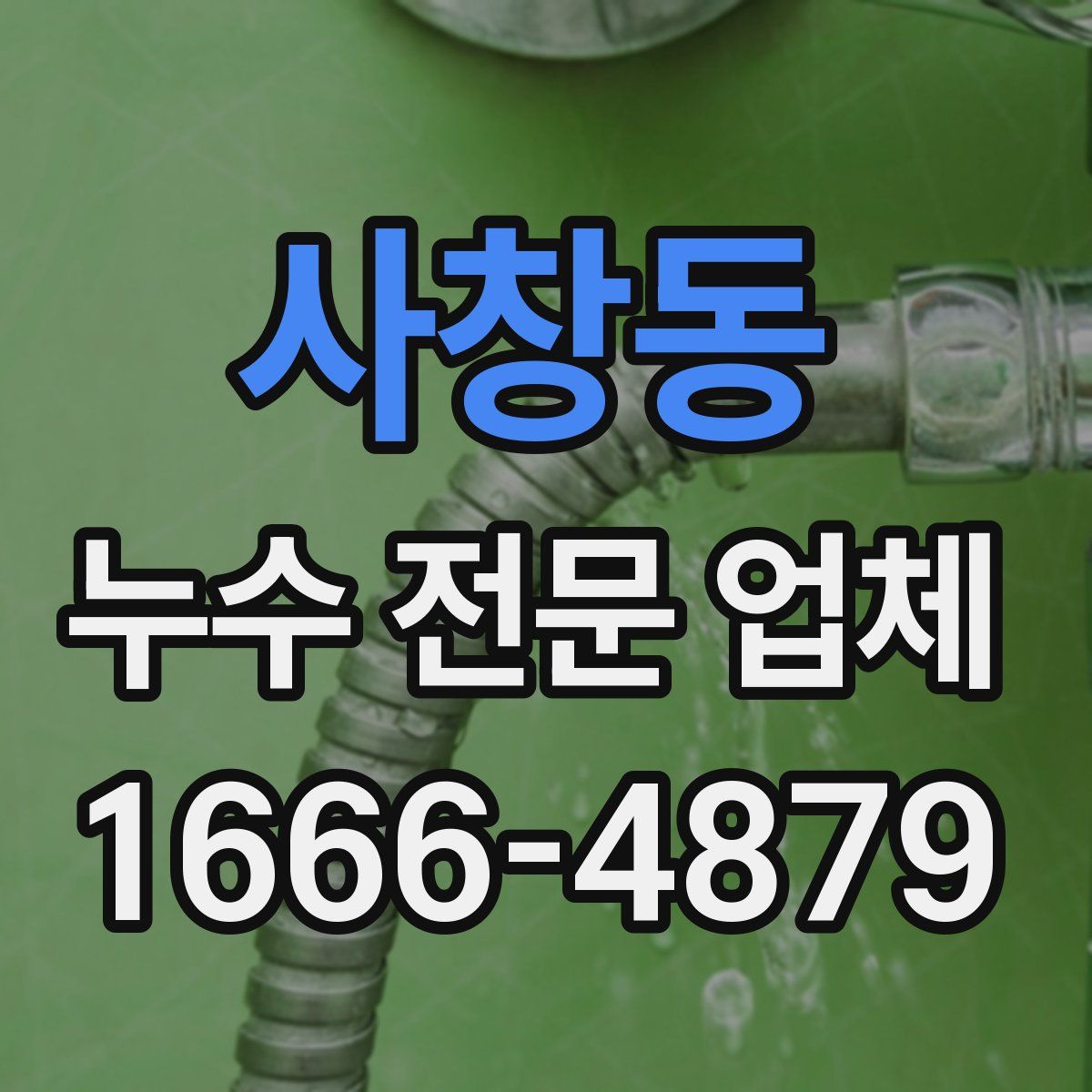 사창동 누수 전문 업체