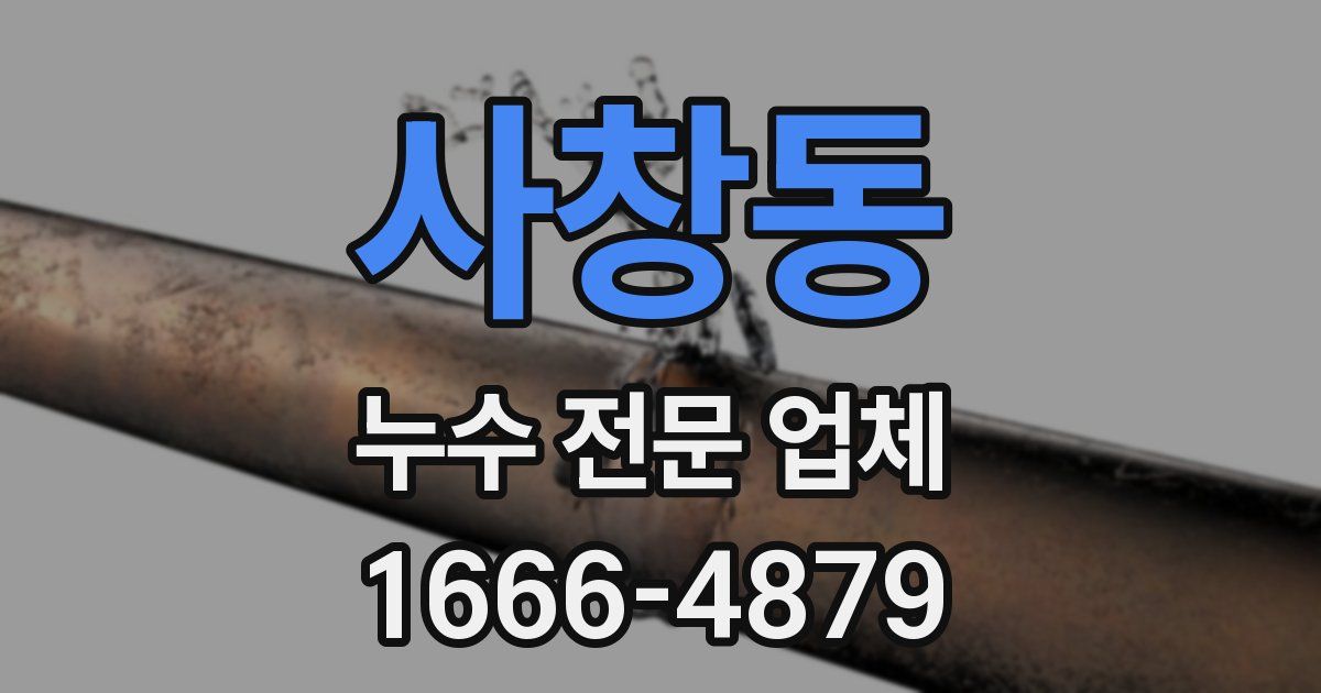 사창동 누수 전문 업체