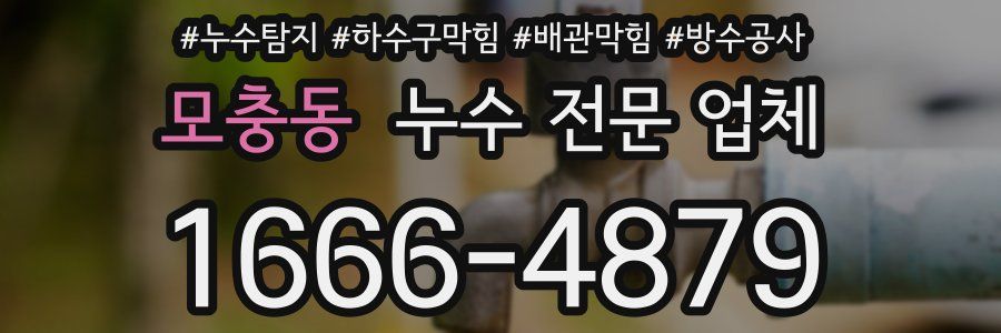 모충동 누수 전문 업체