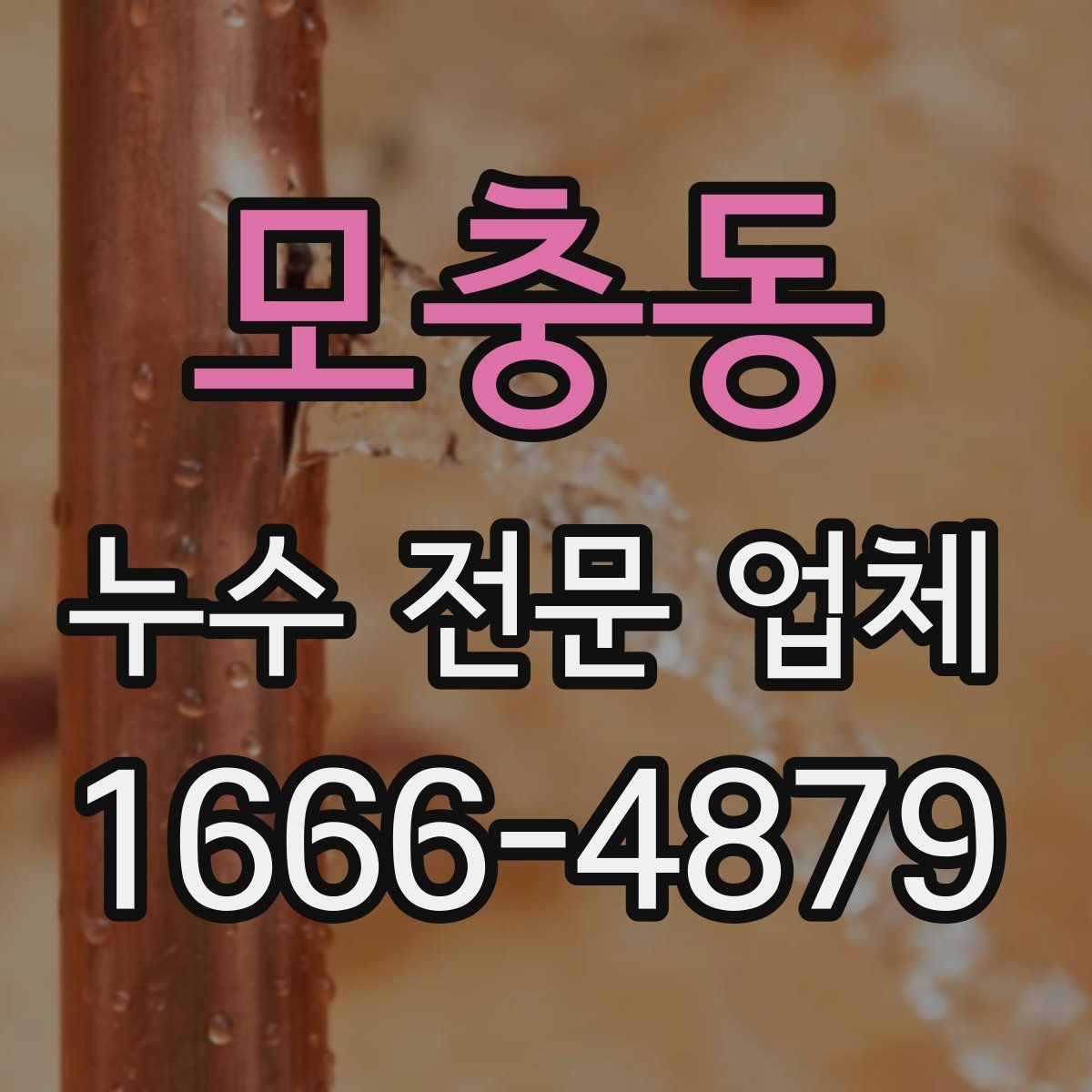 모충동 누수 전문 업체