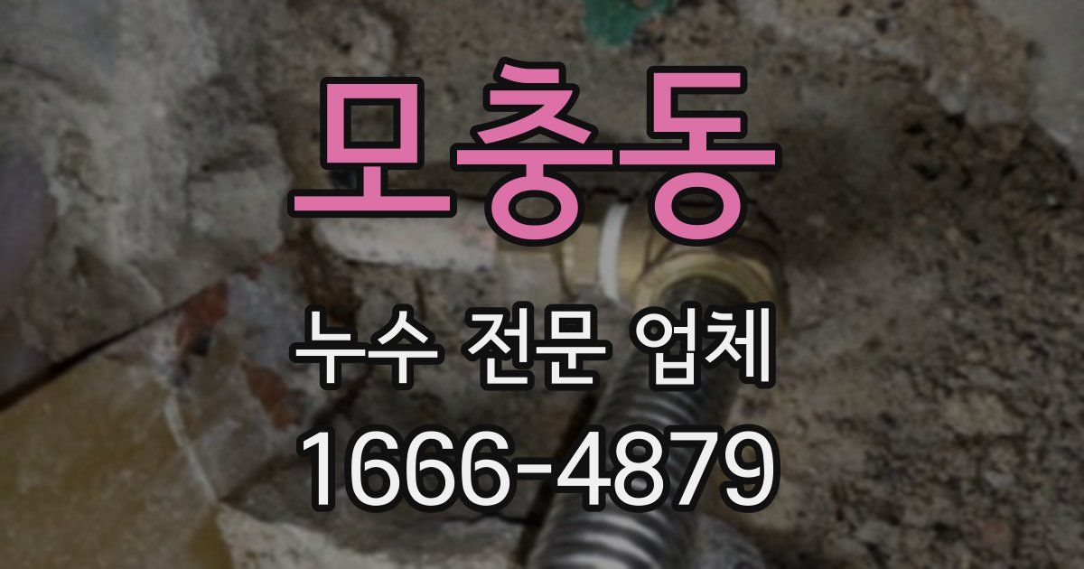 모충동 누수 전문 업체
