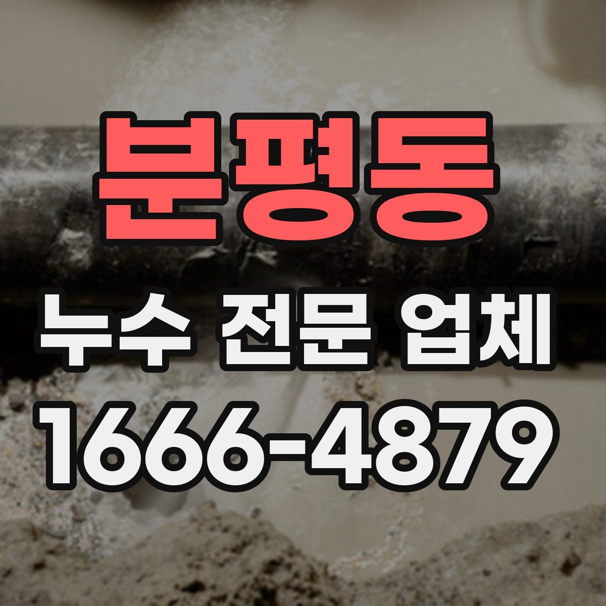분평동 누수 전문 업체
