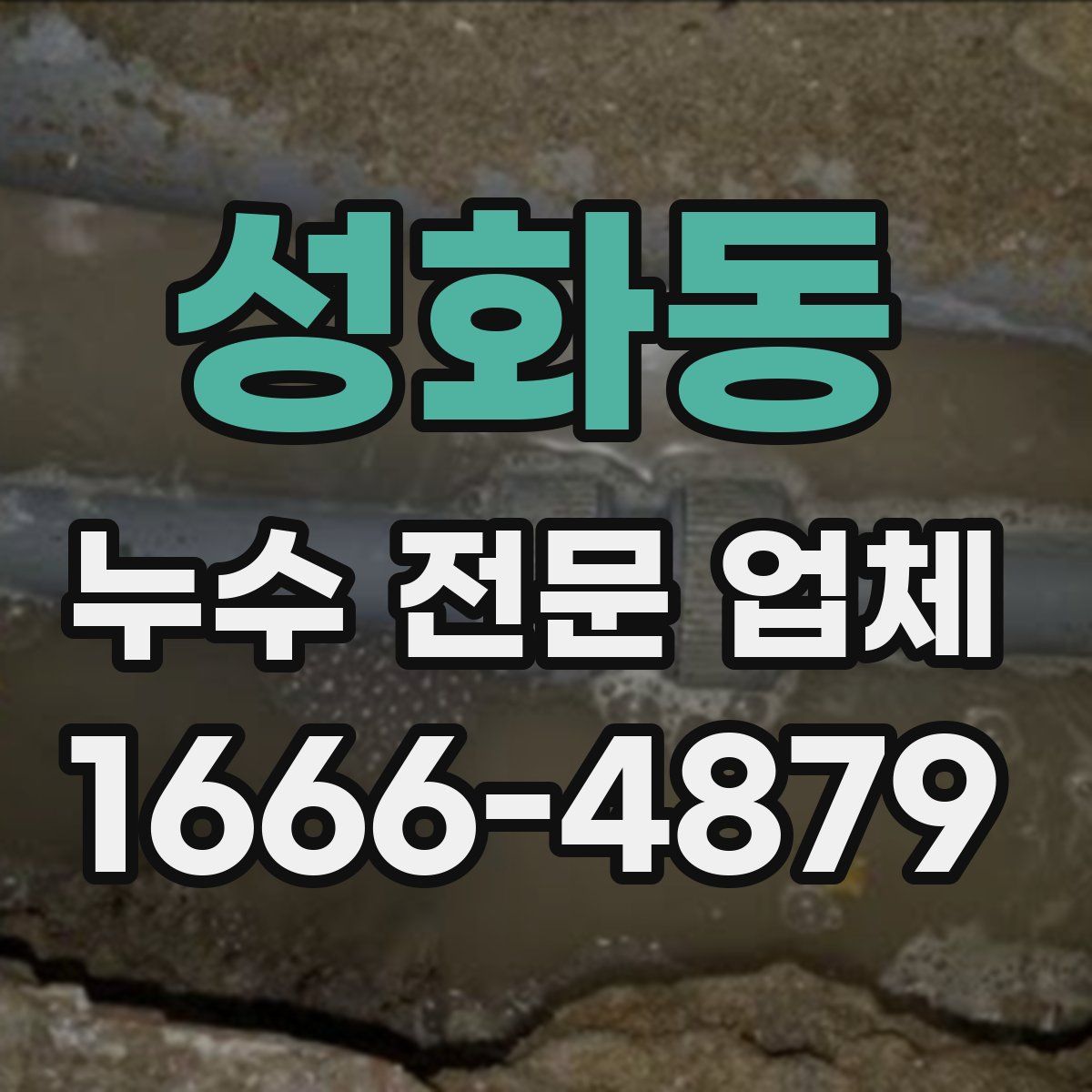 성화동 누수 전문 업체