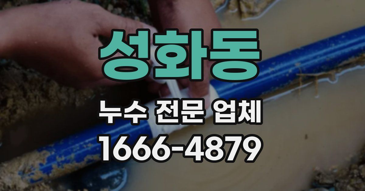 성화동 누수 전문 업체