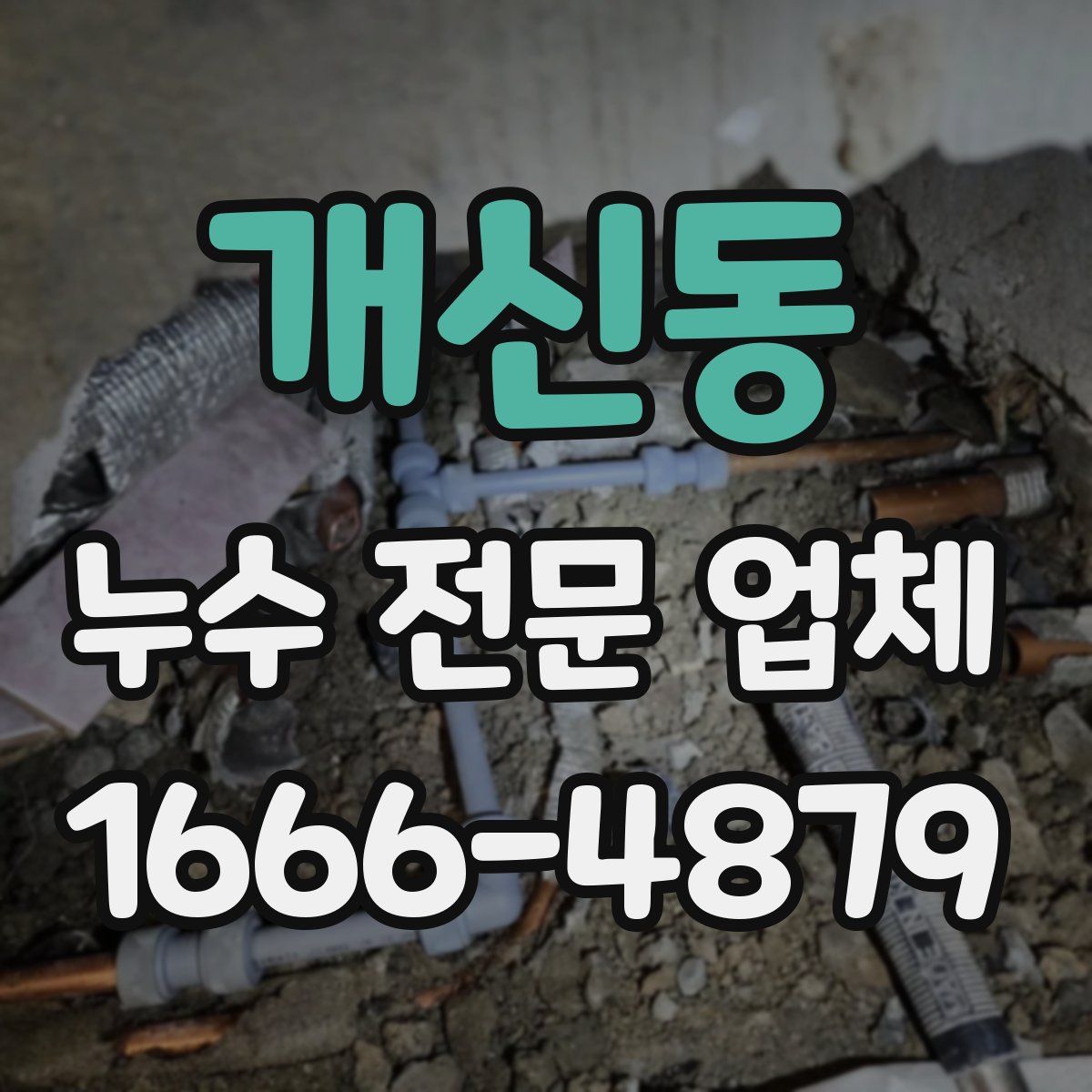 개신동 누수 전문 업체