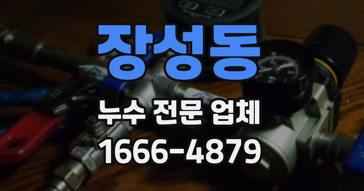 장성동 누수 전문 업체