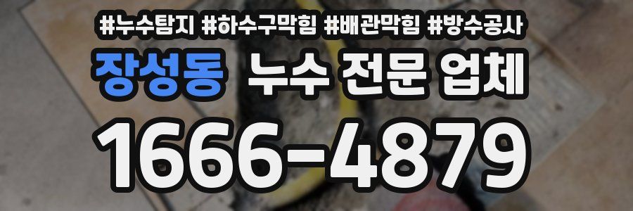 장성동 누수 전문 업체