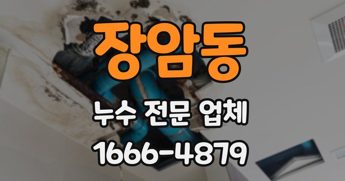 장암동 누수 전문 업체