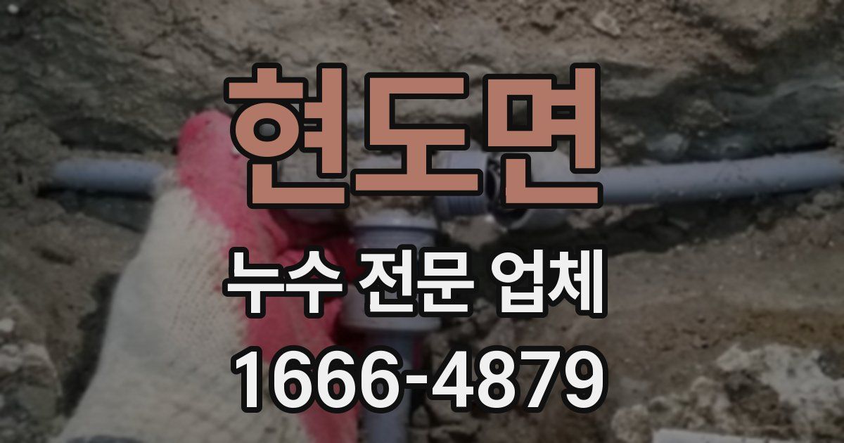 현도면 누수 전문 업체