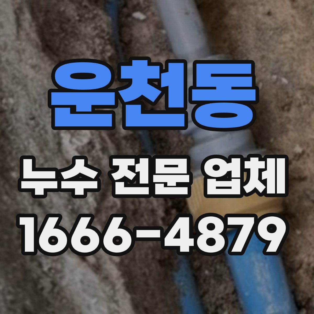 운천동 누수 전문 업체