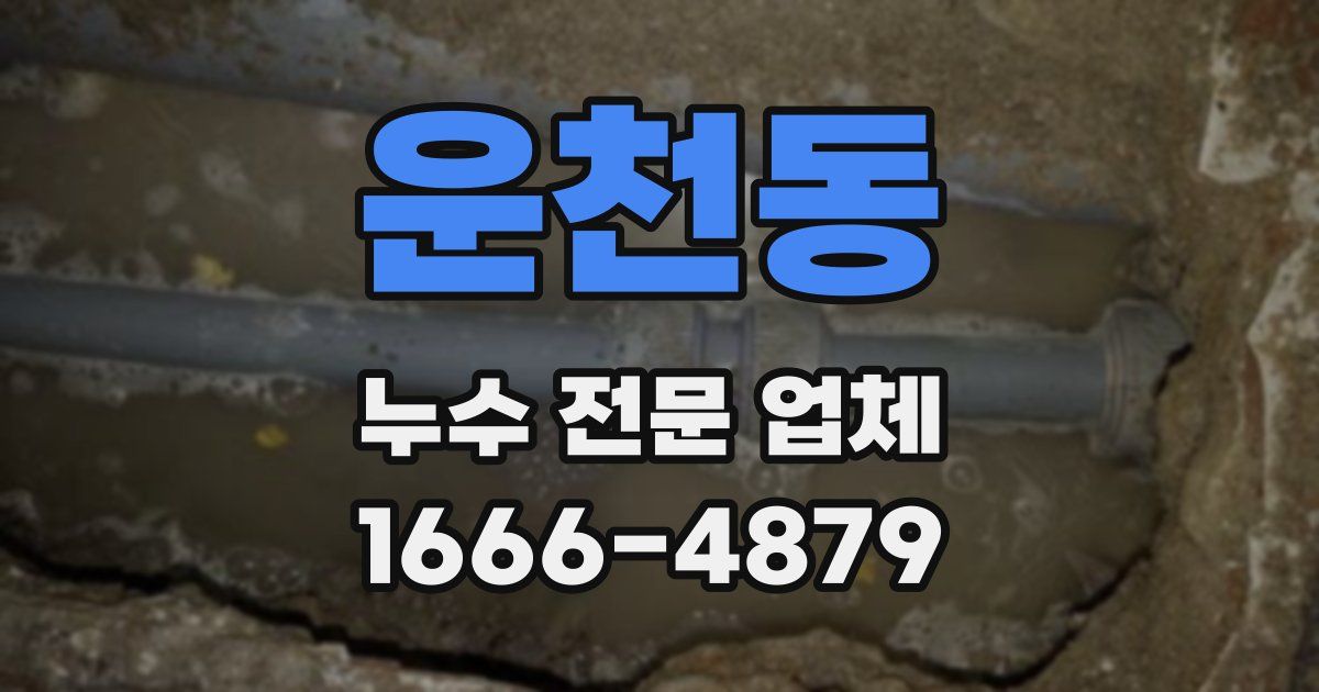 운천동 누수 전문 업체
