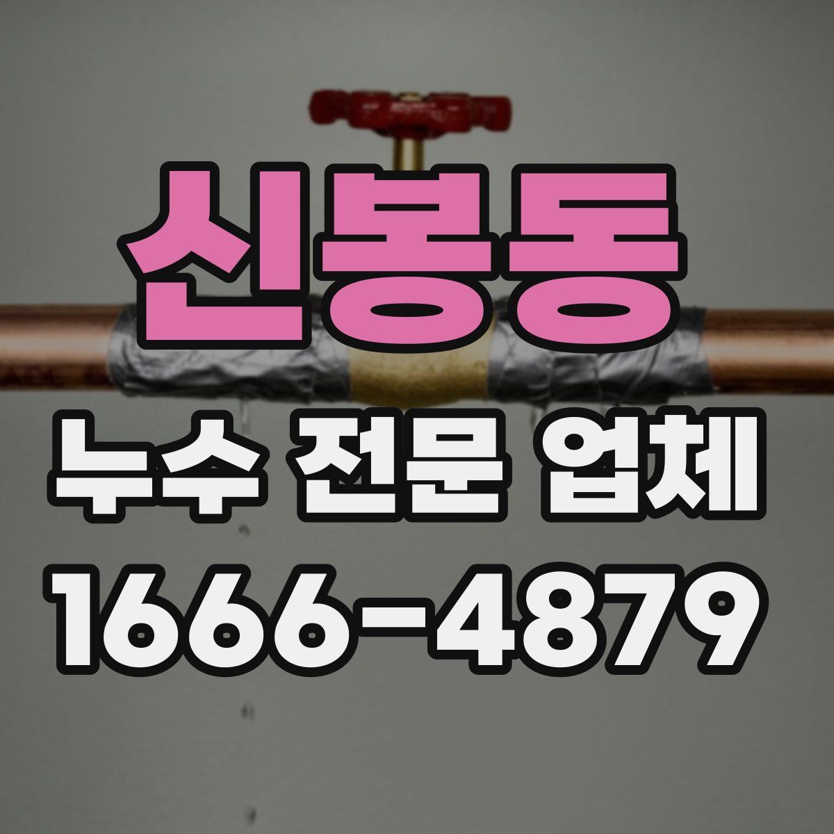 신봉동 누수 전문 업체