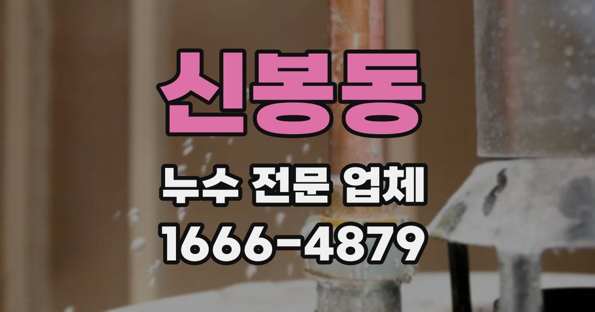 신봉동 누수 전문 업체