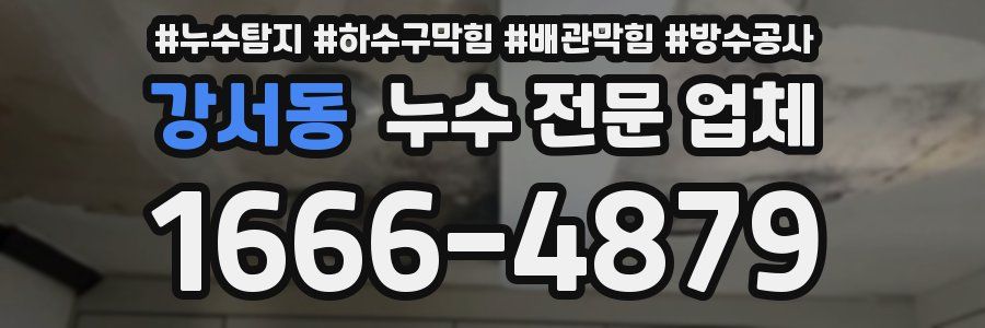 강서동 누수 전문 업체
