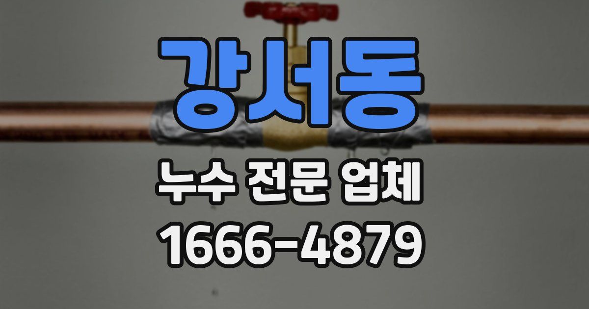 강서동 누수 전문 업체