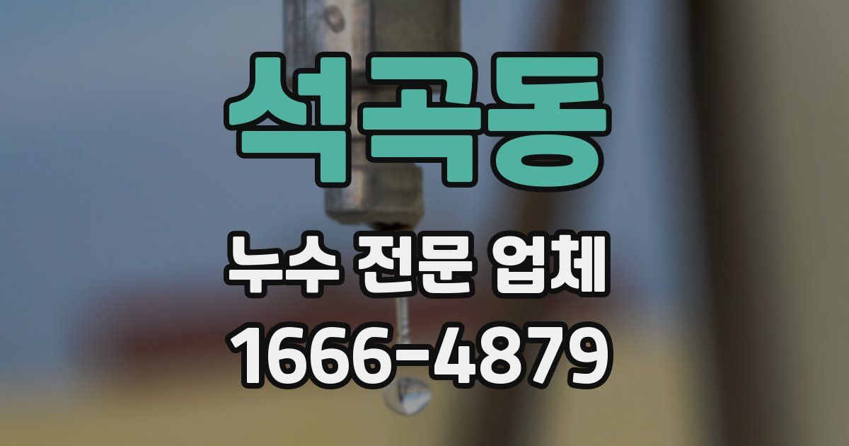 석곡동 누수 전문 업체