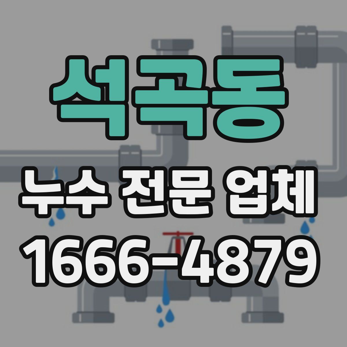 석곡동 누수 전문 업체