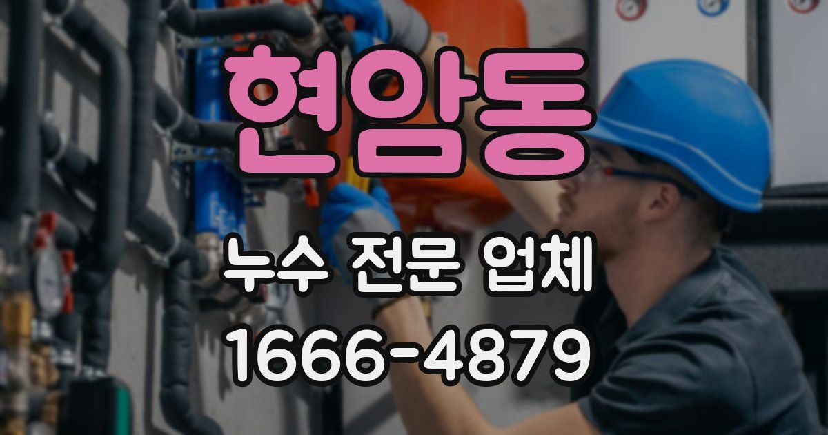 현암동 누수 전문 업체
