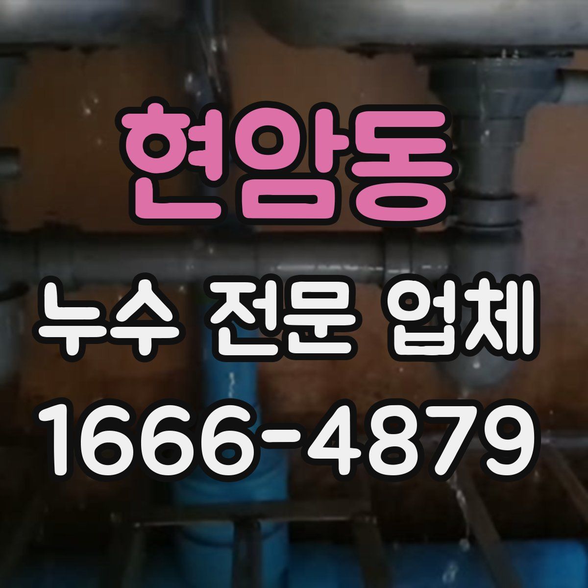 현암동 누수 전문 업체