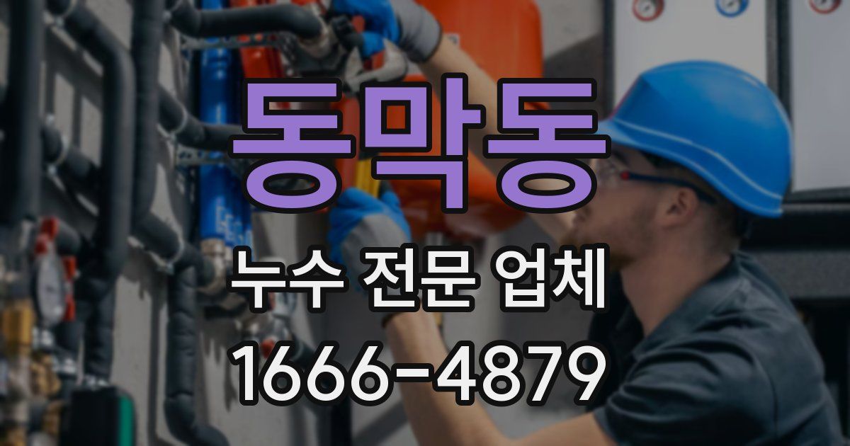 동막동 누수 전문 업체