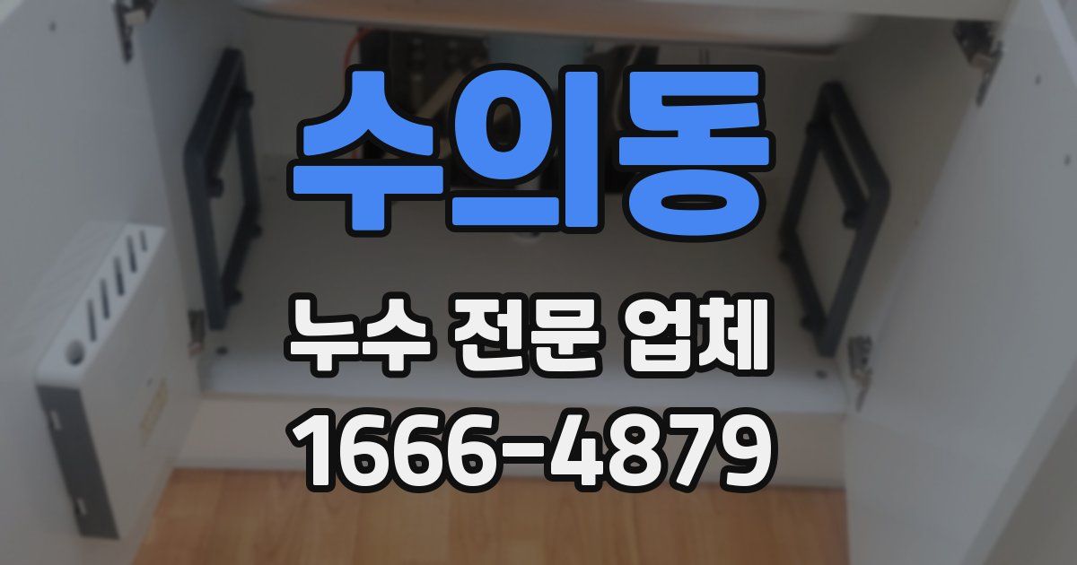 수의동 누수 전문 업체