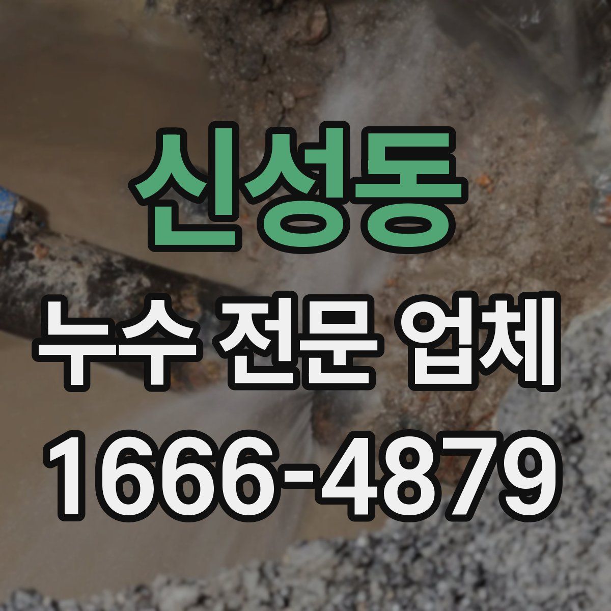 신성동 누수 전문 업체